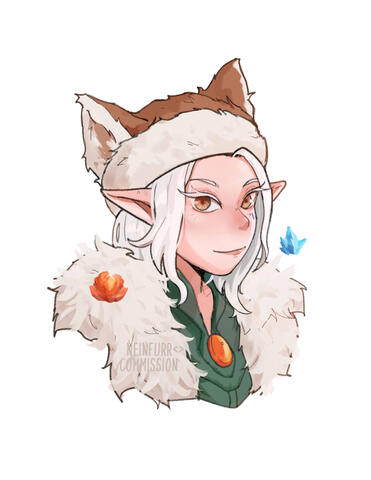 wintertouched elf